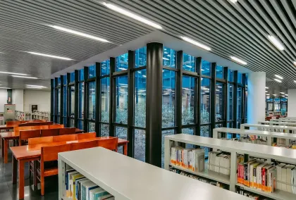 Casino Lion Wins Mobilapp